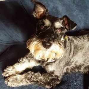 Meet your Posher, Jill